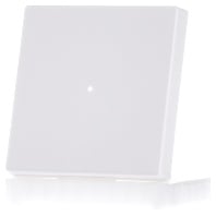 CWIZ-01/01-LED - Cover plate for switch/push button white CWIZ-01/01-LED