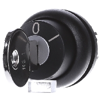 M22S-WRS - Key actuator black M22S-WRS