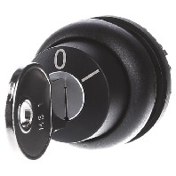 M22S-WS - Key actuator black M22S-WS