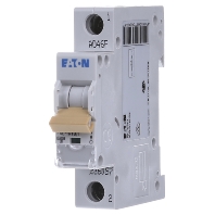 PXL-C13/1 - Miniature circuit breaker 1-p C13A PXL-C13/1