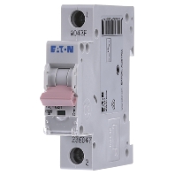 PXL-C2/1 - Miniature circuit breaker 1-p C2A PXL-C2/1