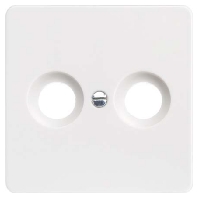 206020 - Central cover plate 206020