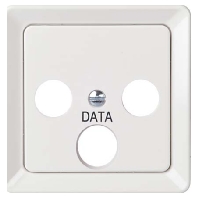 206070 - Central cover plate 206070