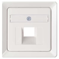 206529 - Central cover plate UAE/IAE (ISDN) 206529