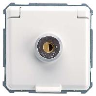 225074 - Socket outlet (receptacle) 225074