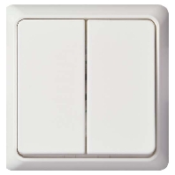 242514 - Series switch flush mounted white 242514