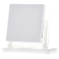 BLA55-rw - Cover plate for switch/push button white BLA55-rw