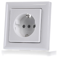 DSS+SDO55-wg - Socket outlet (receptacle) DSS+SDO55-wg