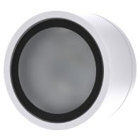 487001N ws - Ceiling-/wall luminaire 487001N ws