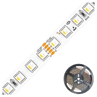 IC2048420509940 - Light ribbon-/hose/-strip 48V RGBW IC2048420509940