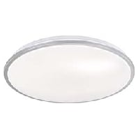 20812 - Ceiling-/wall luminaire 20812