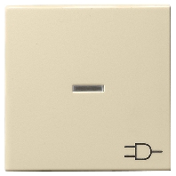 020901 - Cover plate for switch/push button 020901