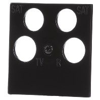 025910 - Central cover plate 025910