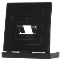 027047 - Central cover plate UAE/IAE (ISDN) 027047