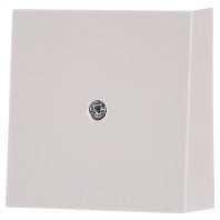 027401 - Central cover plate 027401