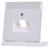 0284112 - Central cover plate UAE/IAE (ISDN) 0284112