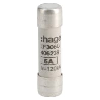 LF306G - Cylindrical fuse 10x38 mm 6A LF306G