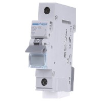 MCN125 - Miniature circuit breaker 1-p C25A MCN125