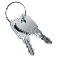 VZ304N05 - Cylinder key for enclosure VZ304N05