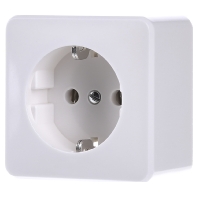 321 A WW - Socket outlet (receptacle) 321 A WW