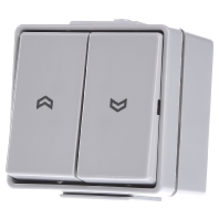 609 VW - 1-pole switch for roller shutter grey 609 VW