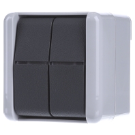 805 W - 2-pole switch surface mounted grey 805 W