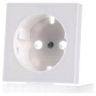 A 520 WW PL - Cover plate for Wall socket white A 520 WW PL