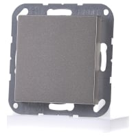 A 594-0 CH - Cover plate for Blind plate A 594-0 CH