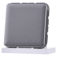 CD 594-0 PT - Cover plate for Blind plate platinum CD 594-0 PT