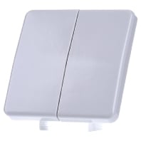 CD 595 LG - Cover plate for switch/push button CD 595 LG