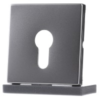 ES 2925 - Cover plate for switch stainless steel ES 2925