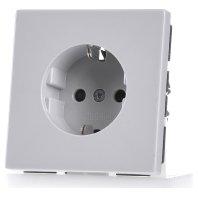 LS 1520 KI LG - Socket outlet (receptacle) LS 1520 KI LG