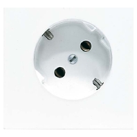 LS 520-45 LG - Socket outlet (receptacle) LS 520-45 LG