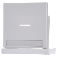 LS 990 NAKO5 WW - Cover plate for switch/push button white LS 990 NAKO5 WW