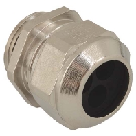 1310.20.2.060 - Cable gland / core connector M20 1310.20.2.060
