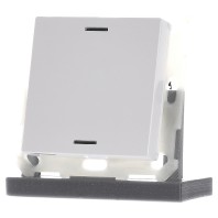 BE-TAL5501.01 - EIB, KNX, Push Button Lite 55 1-fold, RGBW, neutral, White glossy finish - BE-TAL5501.01