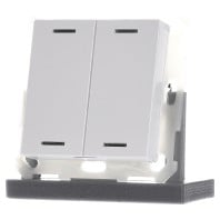 BE-TAL55T2.01 - EIB, KNX, Push Button Lite 55 2-fold, RGBW, neutral, with temperature sensor, White glossy finish - BE-TAL55T2.01