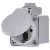 10081 - Socket outlet (receptacle) 10081