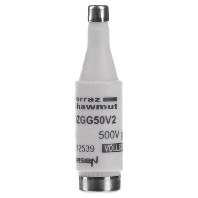 NDZGG50V2 - Diazed fuse link NDZ 2A NDZGG50V2