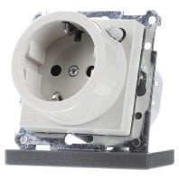 233844 - Socket outlet (receptacle) 233844