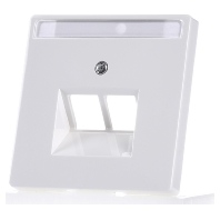 292619 - Central cover plate UAE/IAE (ISDN) 292619
