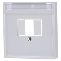 297819 - Central cover plate TAE 297819