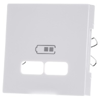 MEG4367-0319 - Central cover plate USB MEG4367-0319