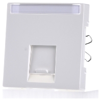 MEG4573-0319 - Central cover plate UAE/IAE (ISDN) MEG4573-0319