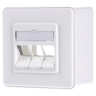 130B10D30002-E - Data outlet white 130B10D30002-E