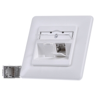 TN C6Amod-2UP-270rw - RJ45 8(8) Data outlet 6A (IEC) white TN C6Amod-2UP-270rw