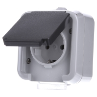 D 6621 WAB - Socket outlet (receptacle) D 6621 WAB