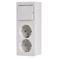 H 6696/2 - Combination switch/wall socket outlet H 6696/2