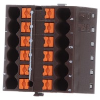 PTFIX 12X2,5 BN (8 Stück) - Feed-through terminal block 31,2mm 24A PTFIX 12X2,5 BN