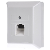 UAE-Cat.6A iso8UAprw - RJ45 8(8) Data outlet 6A (IEC) white UAE-Cat.6A iso8UAprw